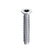 Ejot 6.3x19 Self Tapping Screw St/Stl (Box 100)