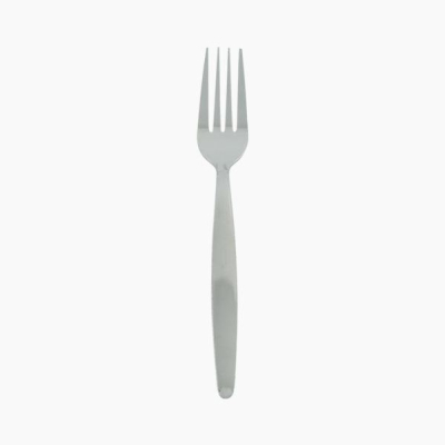 Stainless Steel Fork